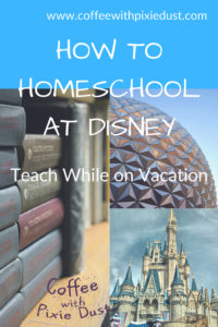 As a Homeschool Mom I am always looking for fun ways to sneak in Field Trips. We took a trip to Disney World and here is how we homeschool at Disney.